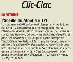 20190703 Abeille du Mont sur TF1 revue de presse
