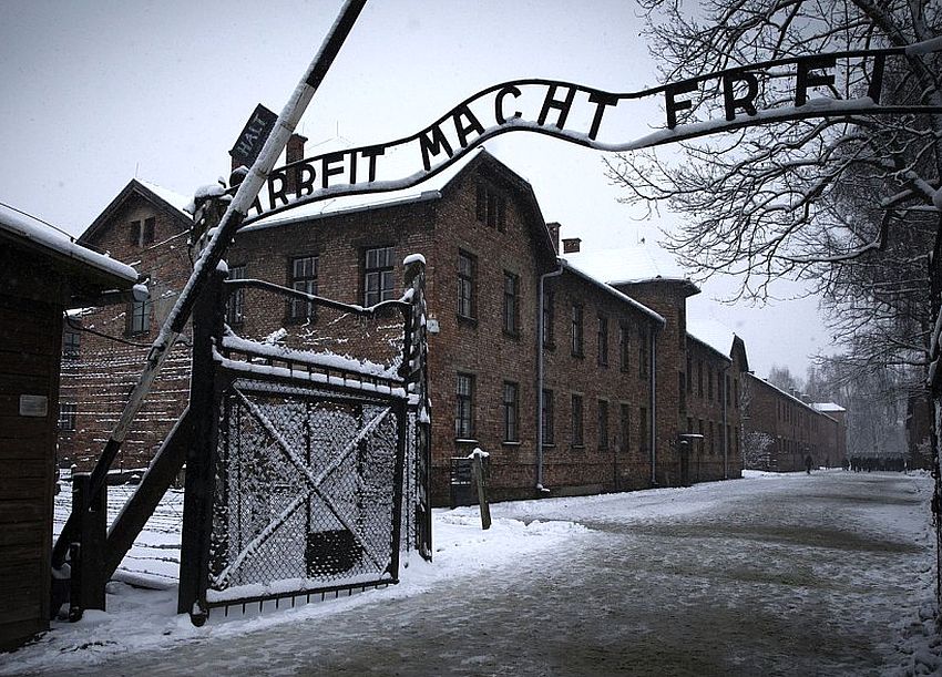 Auschwitz entre 13646617